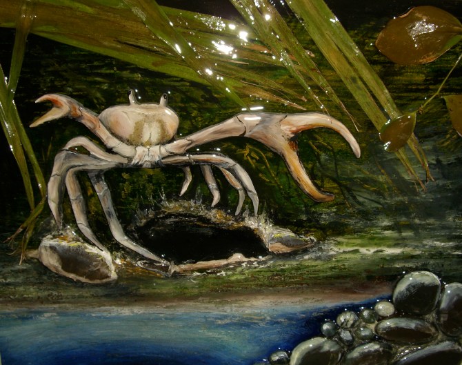 Abaco White Land Crab