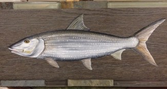 FullSizeRender (1).jpg